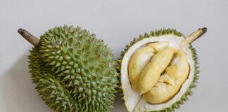 รวม 9 สายพันธุ์ทุเรียน พันธุ์ไหนอร่อยกว่ากัน
