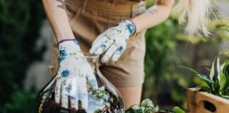 จะเริ่มต้นจัดสวนในขวดแก้ว Terrarium อย่างไรให้สวยและง่าย จัดสวนในขวดแก้ว Terrarium เก๋ๆ สำหรับวางบนโต๊ะทำงาน