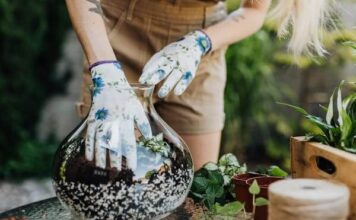 จะเริ่มต้นจัดสวนในขวดแก้ว Terrarium อย่างไรให้สวยและง่าย จัดสวนในขวดแก้ว Terrarium เก๋ๆ สำหรับวางบนโต๊ะทำงาน
