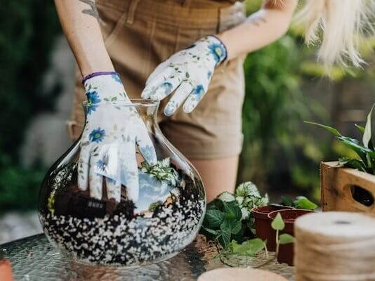 จะเริ่มต้นจัดสวนในขวดแก้ว Terrarium อย่างไรให้สวยและง่าย จัดสวนในขวดแก้ว Terrarium เก๋ๆ สำหรับวางบนโต๊ะทำงาน