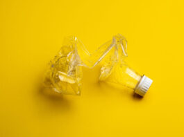 BPA Free: พลาสติกปลอดภัย…หรือแค่เลี่ยงสารเคมีร้ายไปเจออีกตัว? BPA Free: พลาสติกปลอดภัย...หรือแค่เลี่ยงสารเคมีร้ายไปเจออีกตัว?